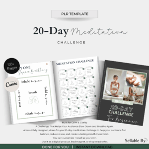 20-Day Meditation Challenge (PLR)